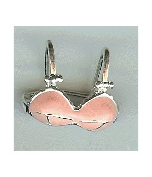 CHARMS REGGISENO-CHV13SL