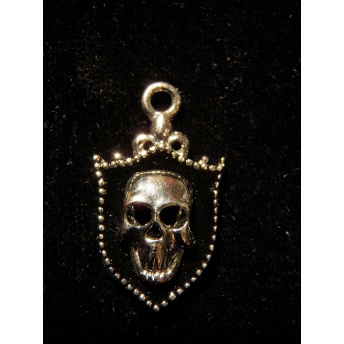 CHARM TESCHIO-CHV36NK