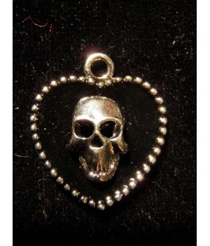 CHARM TESCHIO-CHV37NK