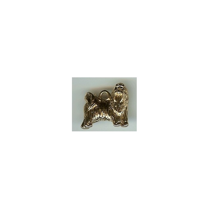 CHARMS CANI-CHZ11(1)