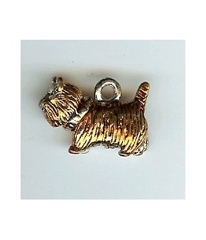CHARMS CANI-CHZ13