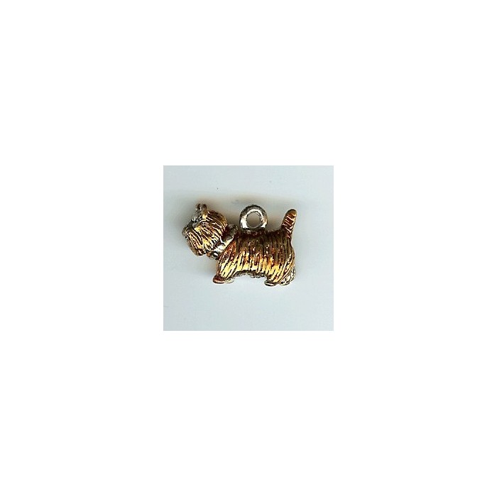 CHARMS CANI-CHZ13